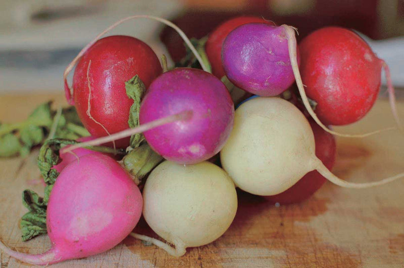 Rainbow Radish Mix - 392A