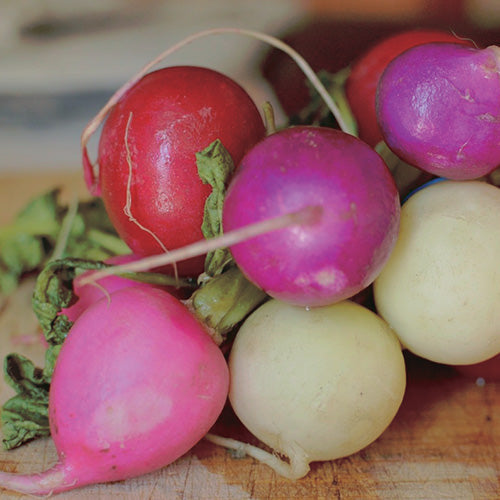 Rainbow Radish Mix - 392A