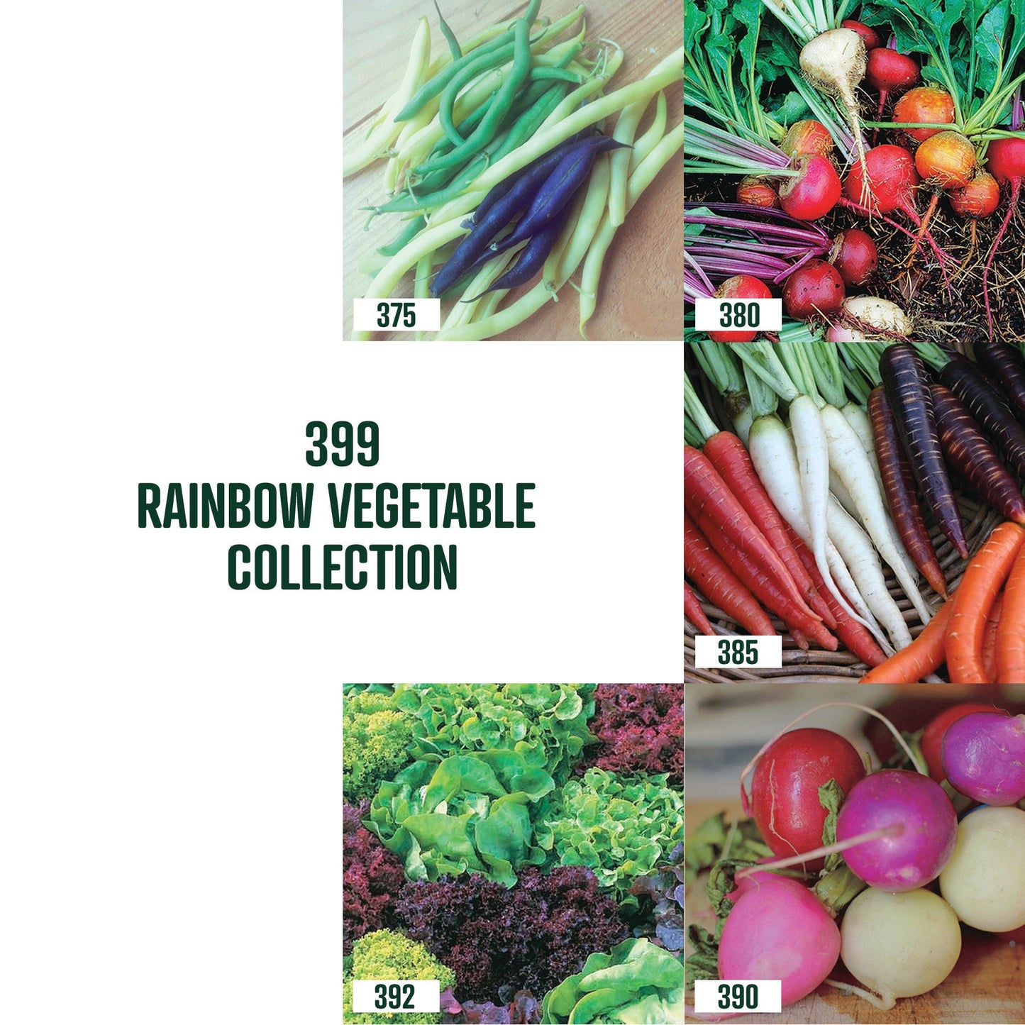 Rainbow Veg Collection / 5 packets - 399A