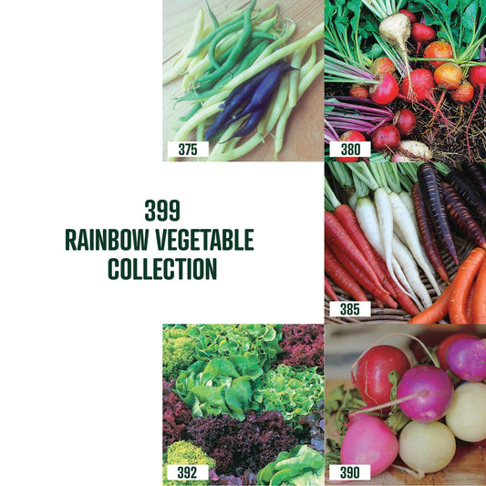 Rainbow Veg Collection / 5 packets