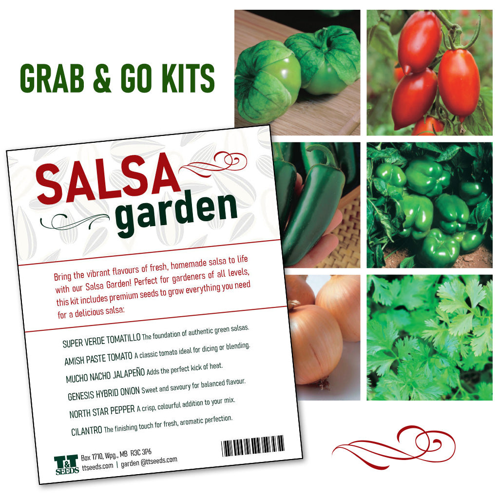 Grab and Go Salsa Garden - 4201A
