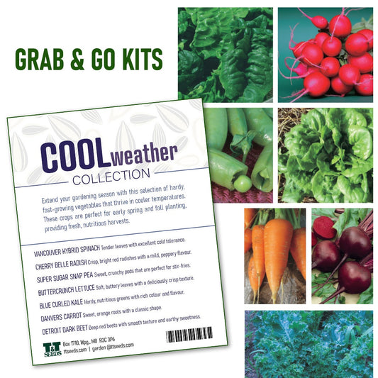 Grab and Go Cool Weather Kit - 4202A