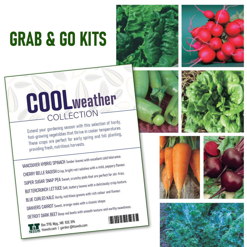 Grab and Go Cool Weather Kit - 4202A