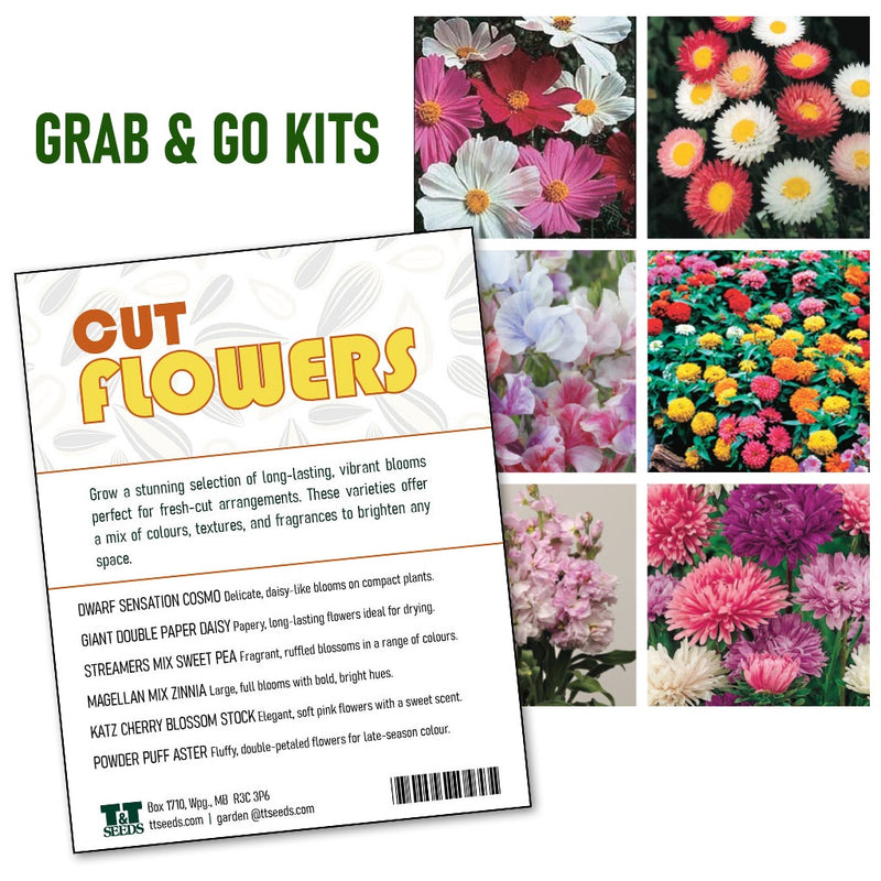 Grab and Go Cut Flower Garden - 4203A