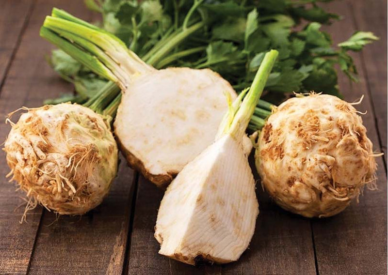 Celeriac (100 Days) - 504A