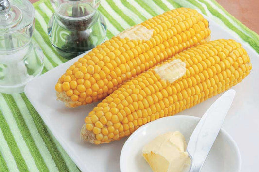 Corn Sunglow (63 Days) - 517A