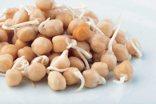 Garbanzo Beans - 5605A