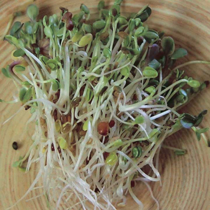 Sandwich Booster - 5611A