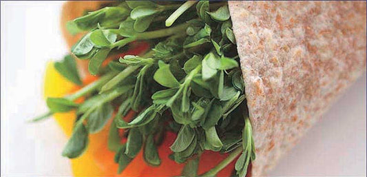 Speckled Pea - 5617A