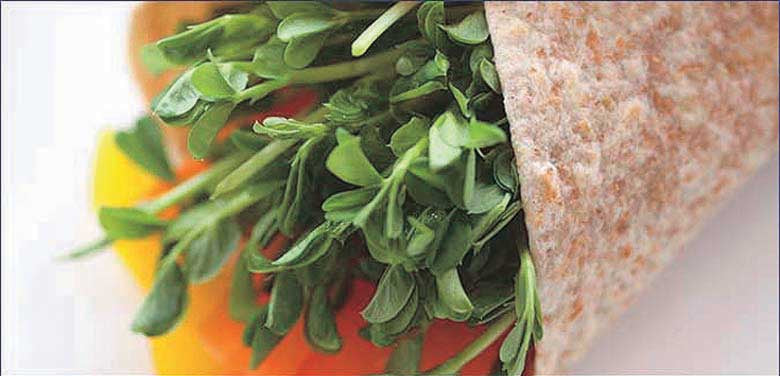 Speckled Pea - 5617A