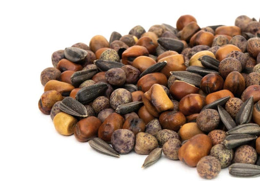 Micro Green Salad Mix - 5621A