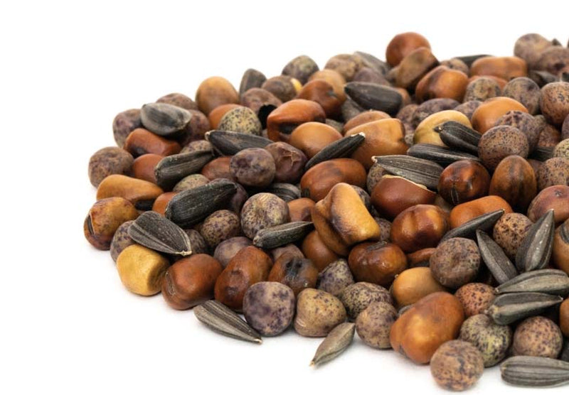 Micro Green Salad Mix - 5621A