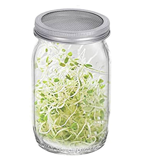 Sprouting Jar 1 Litre - 5629A