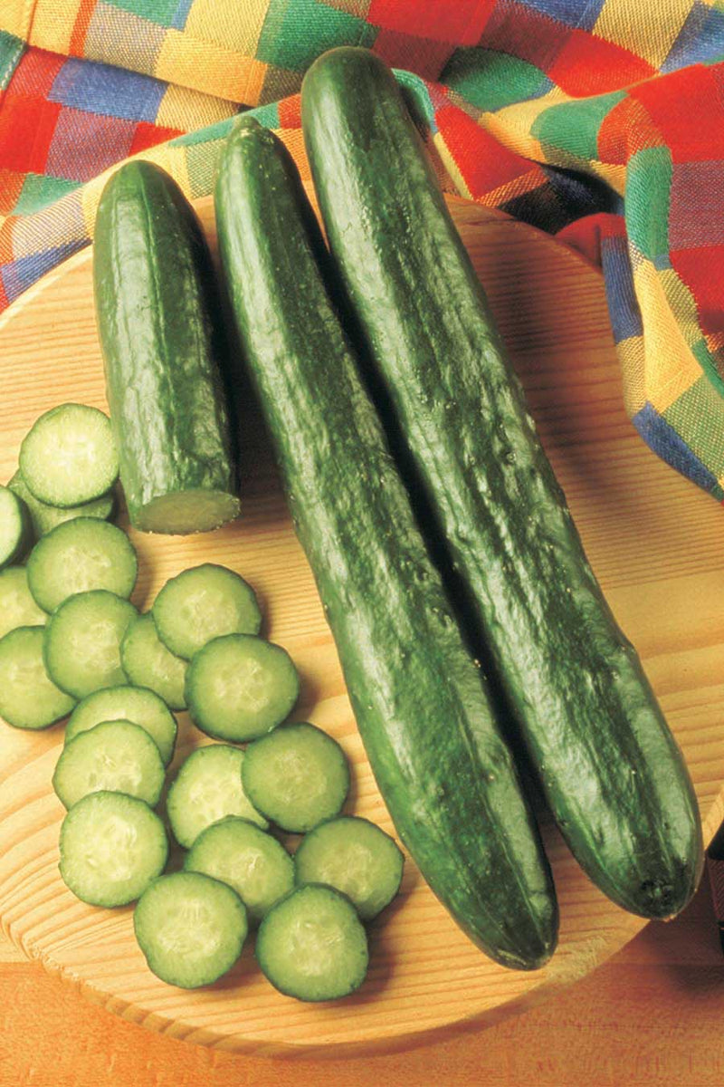 Cucumber Sweeter Yet (48 Days) - 715A