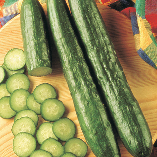 Cucumber Sweeter Yet (48 Days) - 715A