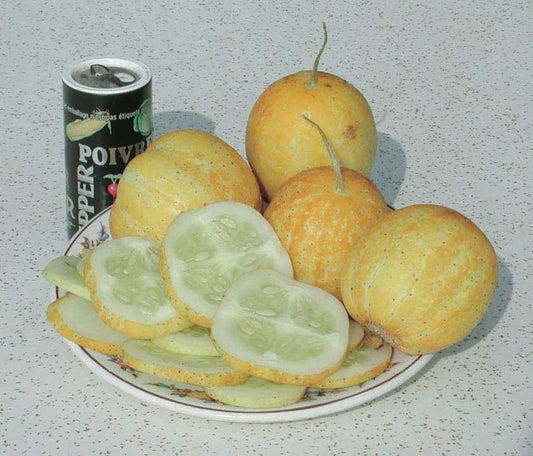 Lemon Apple (60 Days) - 730A