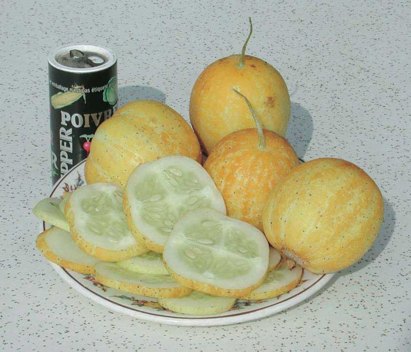 Lemon Apple (60 Days) - 730A