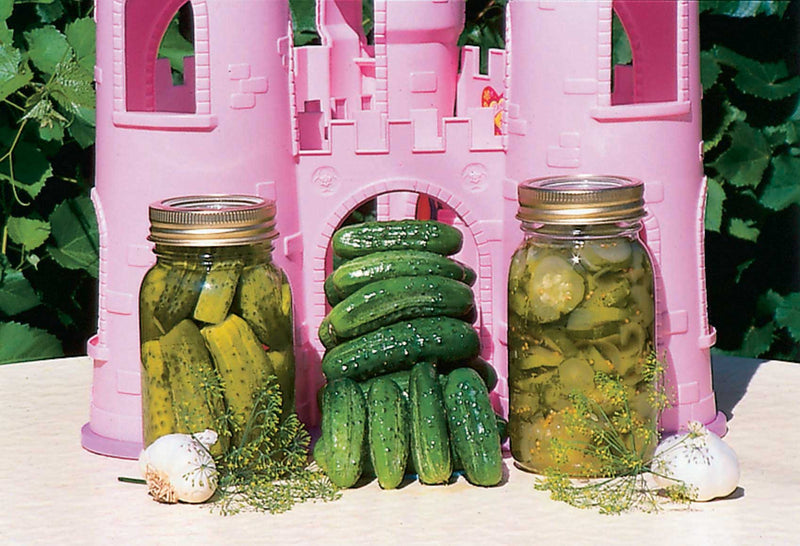 Cucumber King of the Castle Hybrid (50 Days) - 760A