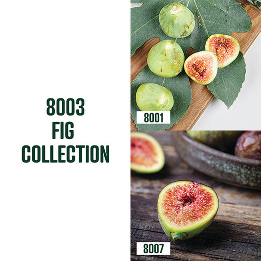 Fig Collection / 2 trees