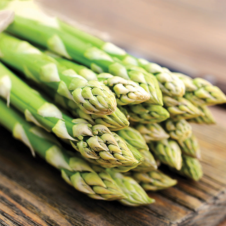 Asperges Mary Washington 