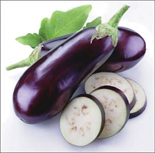 Eggplant Charming (58 Days) - 827A