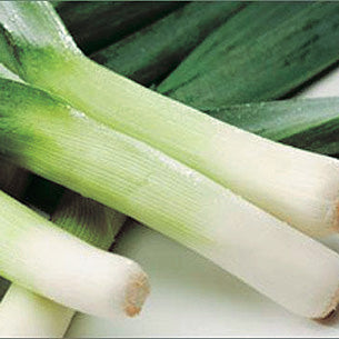 Leeks Large American Flag (120 Days)