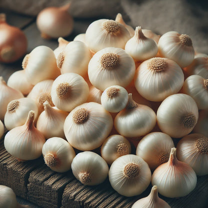 White Onion Sets - 9009A