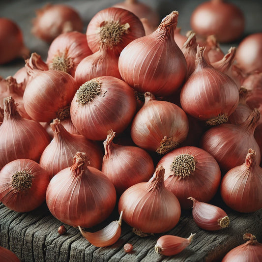Gourmet Shallots - 9020A