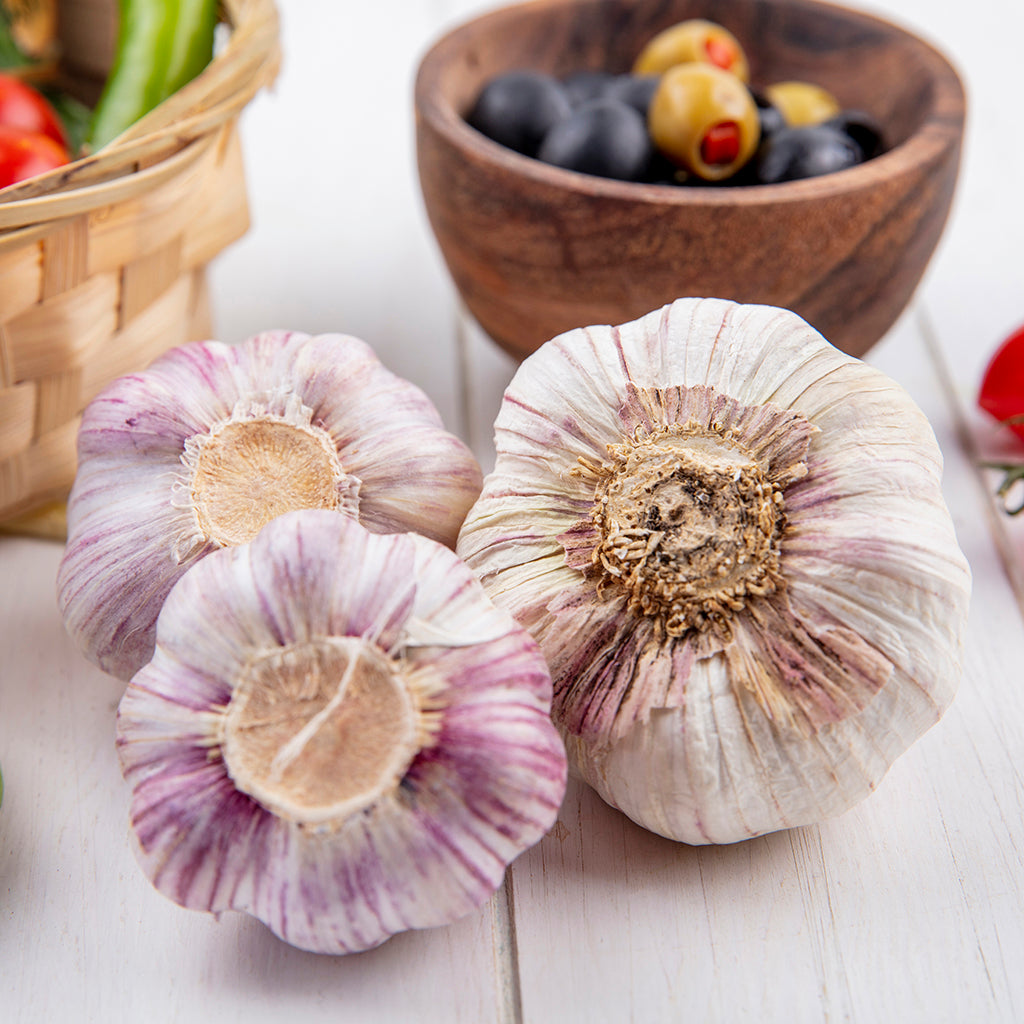 Fall Garlic Duganski
