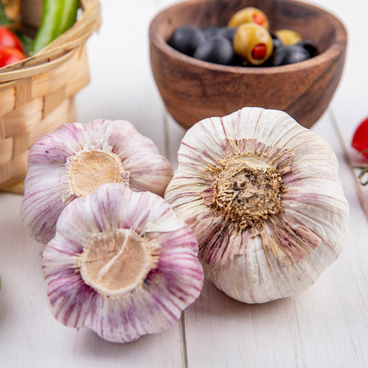 Fall Garlic Duganski