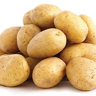 Seed Potatoes Dakota Pearl - 9045A
