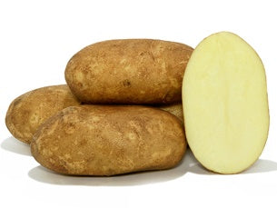 Seed Potato Kennebec - 9060W