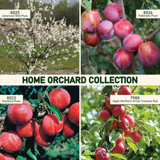 Home Orchard Collection