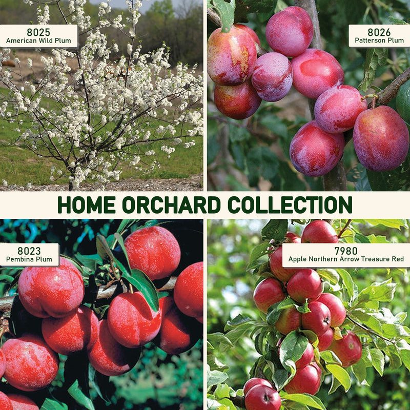 Home Orchard Collection