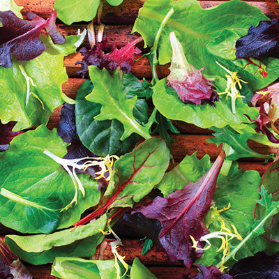 Lettuce Mesclun Mix - 991A