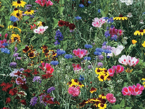 Bird & Butterfly Mix - A10A