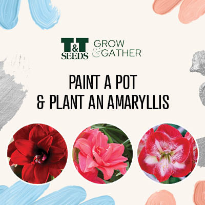 Amaryllis Paint & Plant Workshop 2026