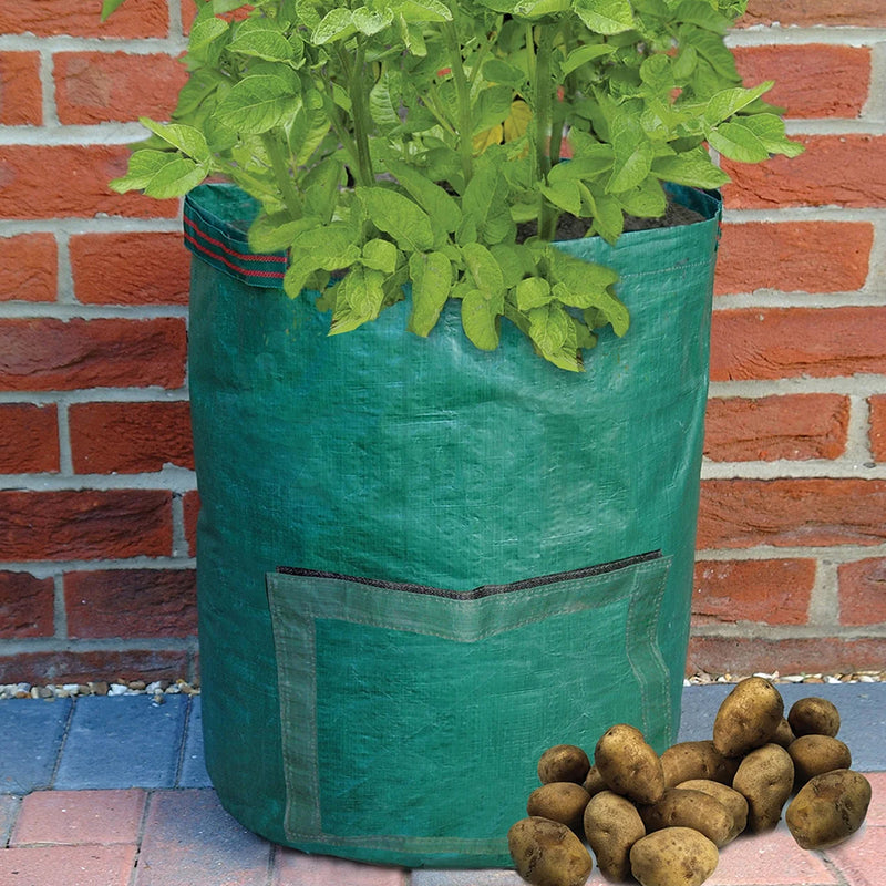Bosmere Potato Planter Bag