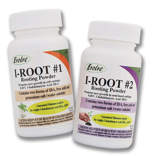 Evolve Rooting Powder