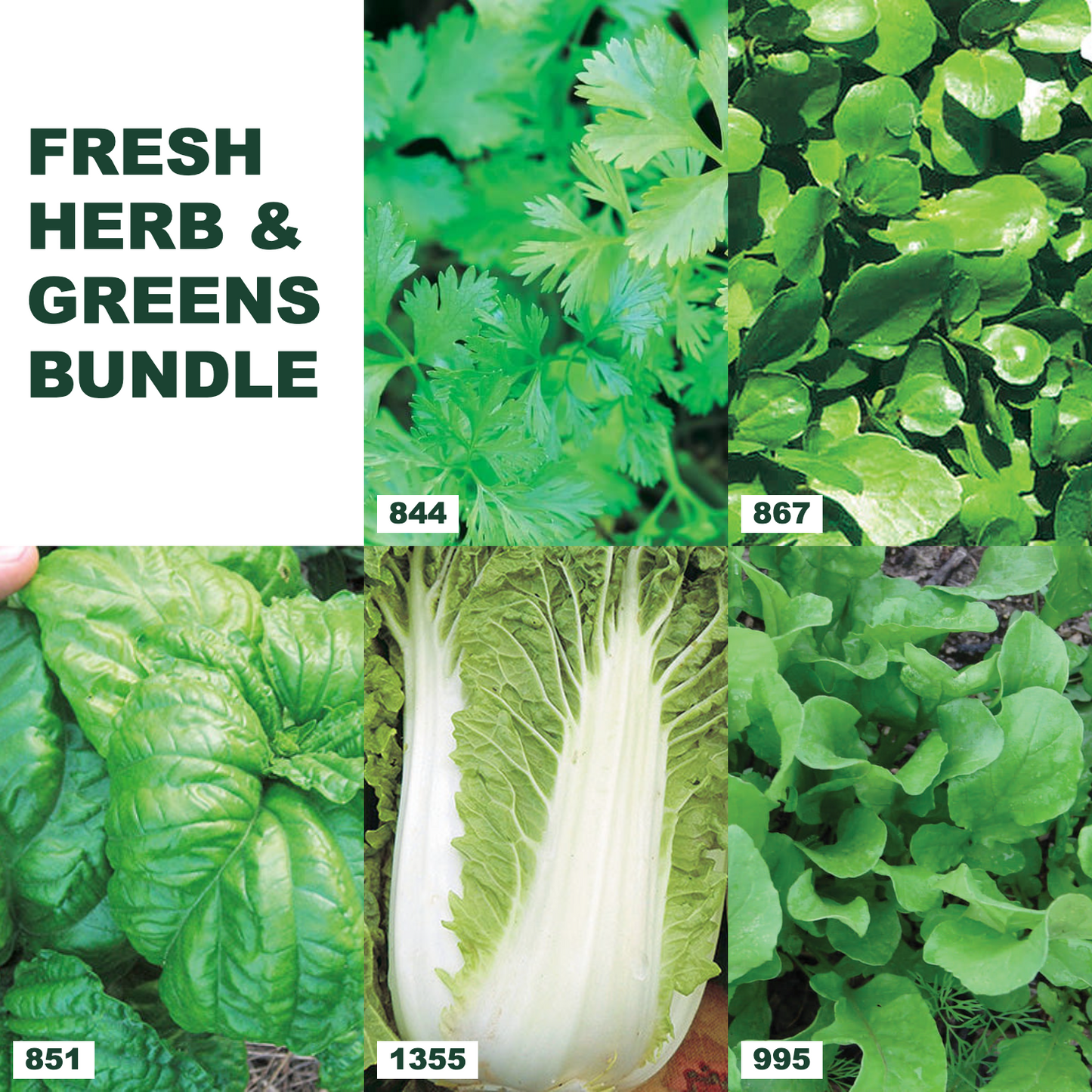 Fresh Herb & Greens Bundle collage
