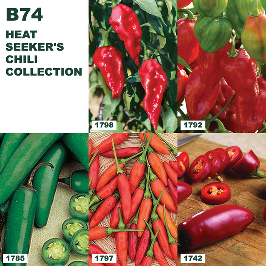 Heat Seeker's Chili Collection — B74 bundle collage