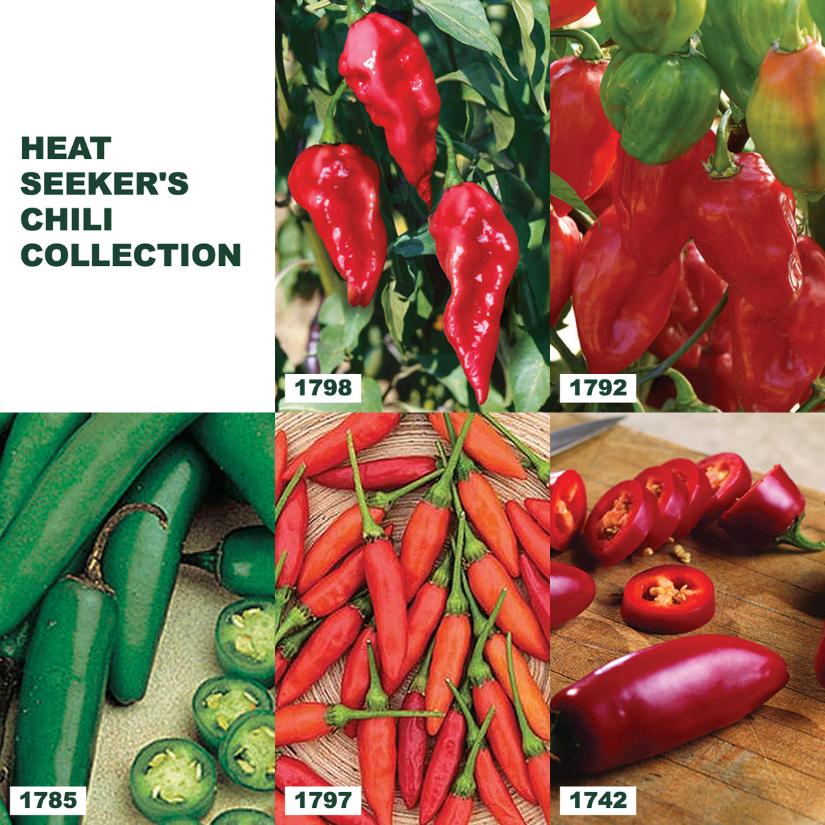 Heat Seeker's Chili Collection bundle collage