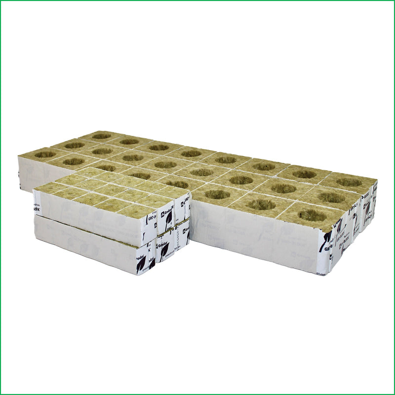 Grow Block Bundle (24 small and 24 large) - LVL-B-006