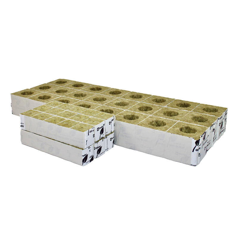 Lot de blocs de culture (24 petits et 24 grands)