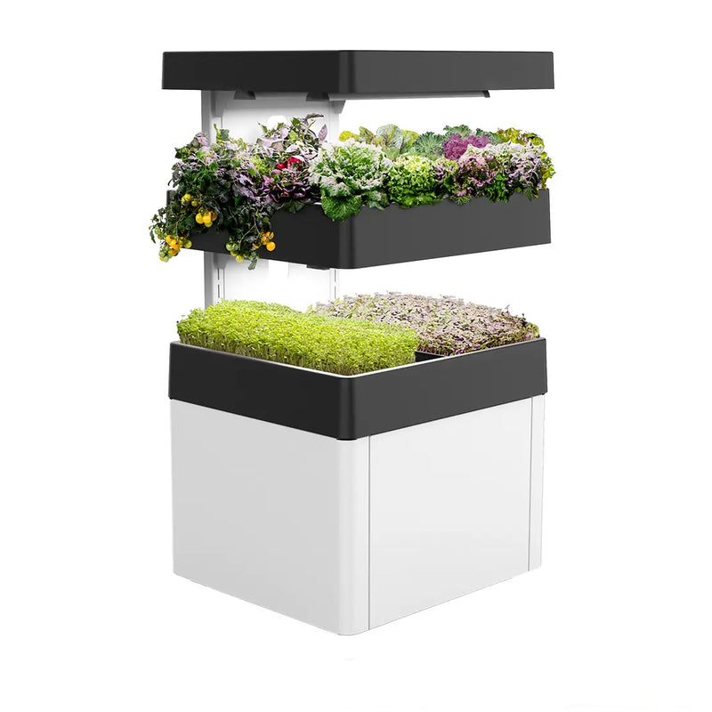 Les Verts Terrace Indoor Garden - LVL-IG-001