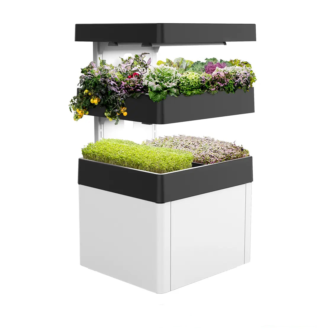 Les Verts Terrace Indoor Garden - LVL-IG-001