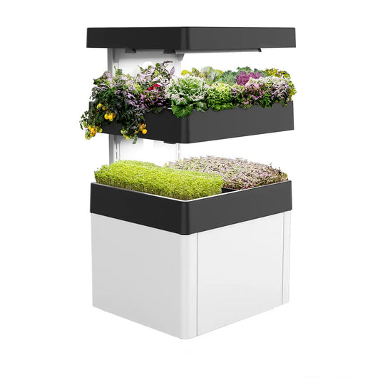 Les Verts Terrace Indoor Garden - LVL-IG-001