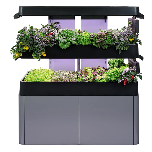 Les Verts Terrace Pro (2-tier) - LVL-IG-002