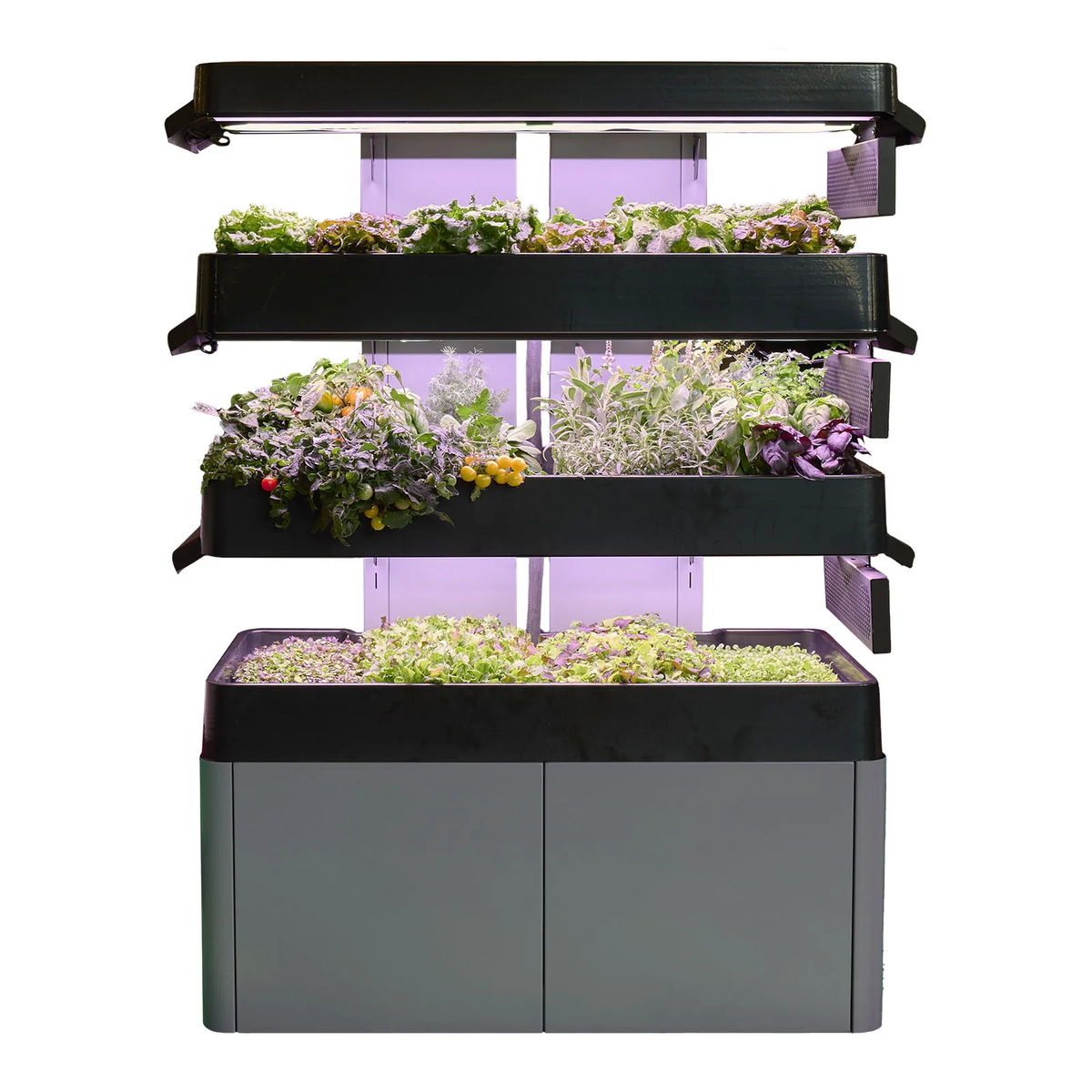 Les Verts Terrace Pro (3-tier) - LVL-IG-003