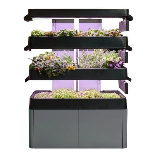 Les Verts Terrace Pro (3-tier) - LVL-IG-003